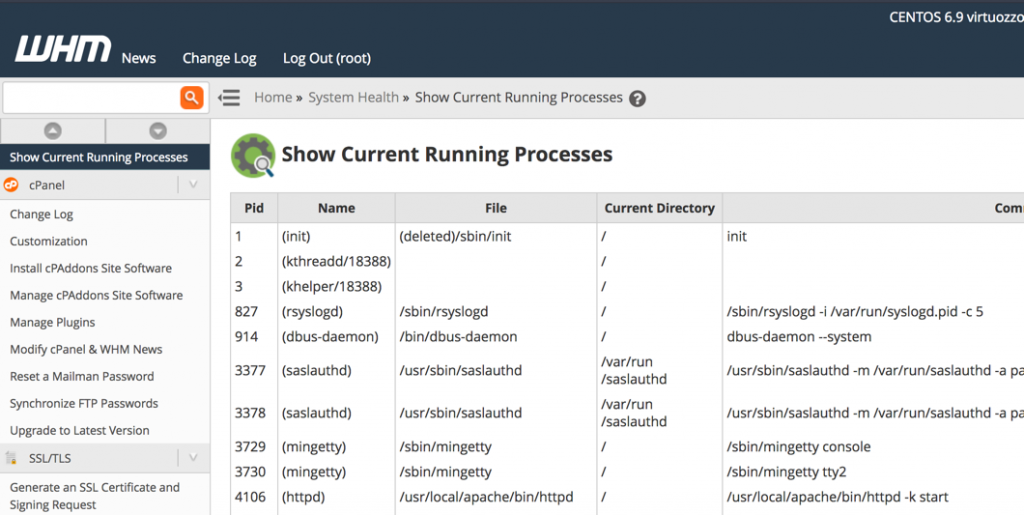 How To View Current Running Processes In WHM InMotion Hosting