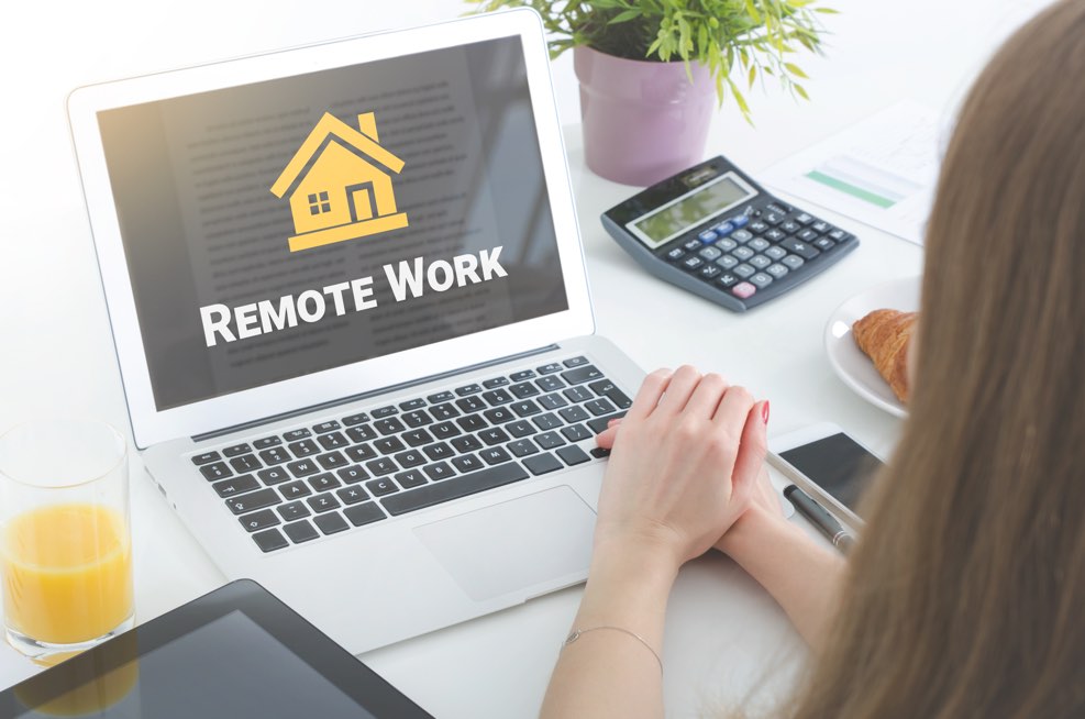 work remotely meaning in hindi