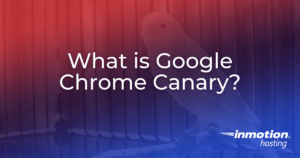 google chrome canary vs google chrome