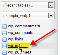 phpMyAdmin select WordPress options table