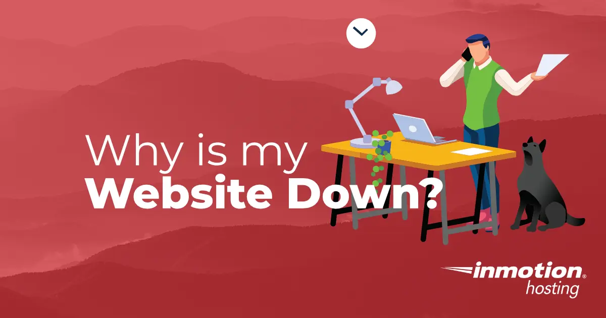 Why My Website Is Down