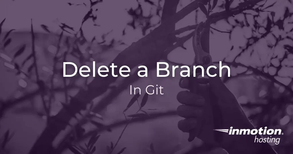 git delete branch master