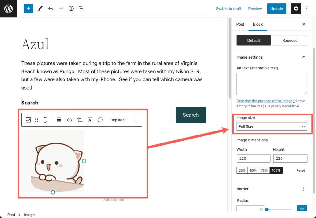 How to Add Animated GIFs in WordPress (The RIGHT Way)